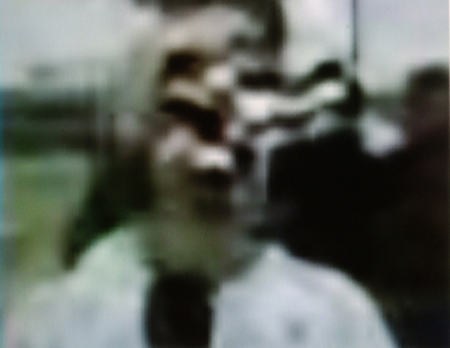 Fox 11 news Strawberry Fst D